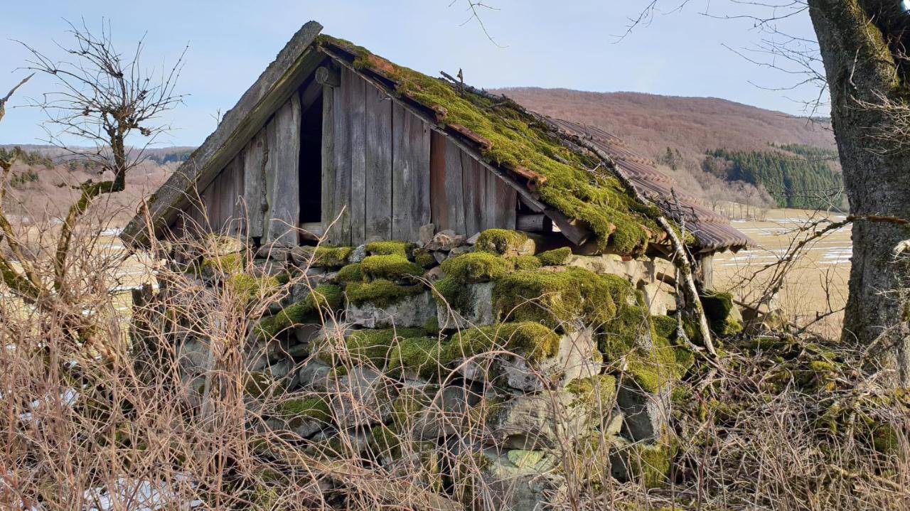 Apartament Kaline 2 Wildflecken Zewnętrze zdjęcie