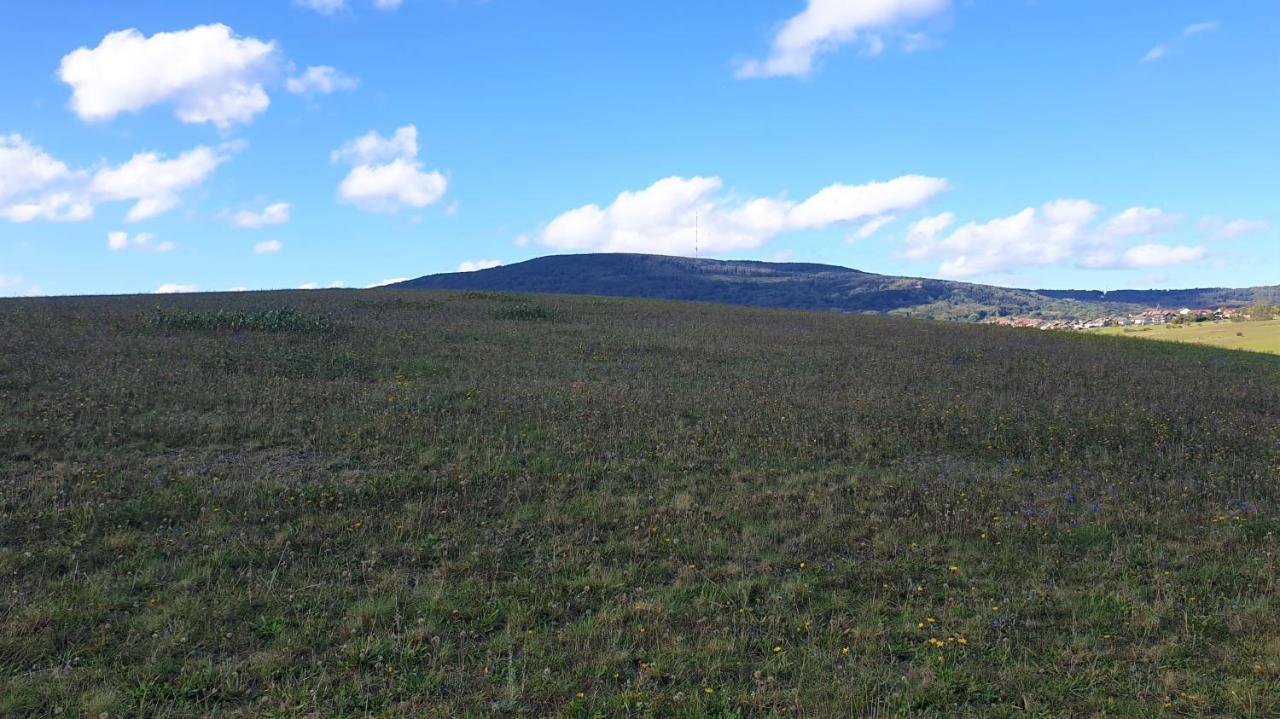 Apartament Kaline 2 Wildflecken Zewnętrze zdjęcie