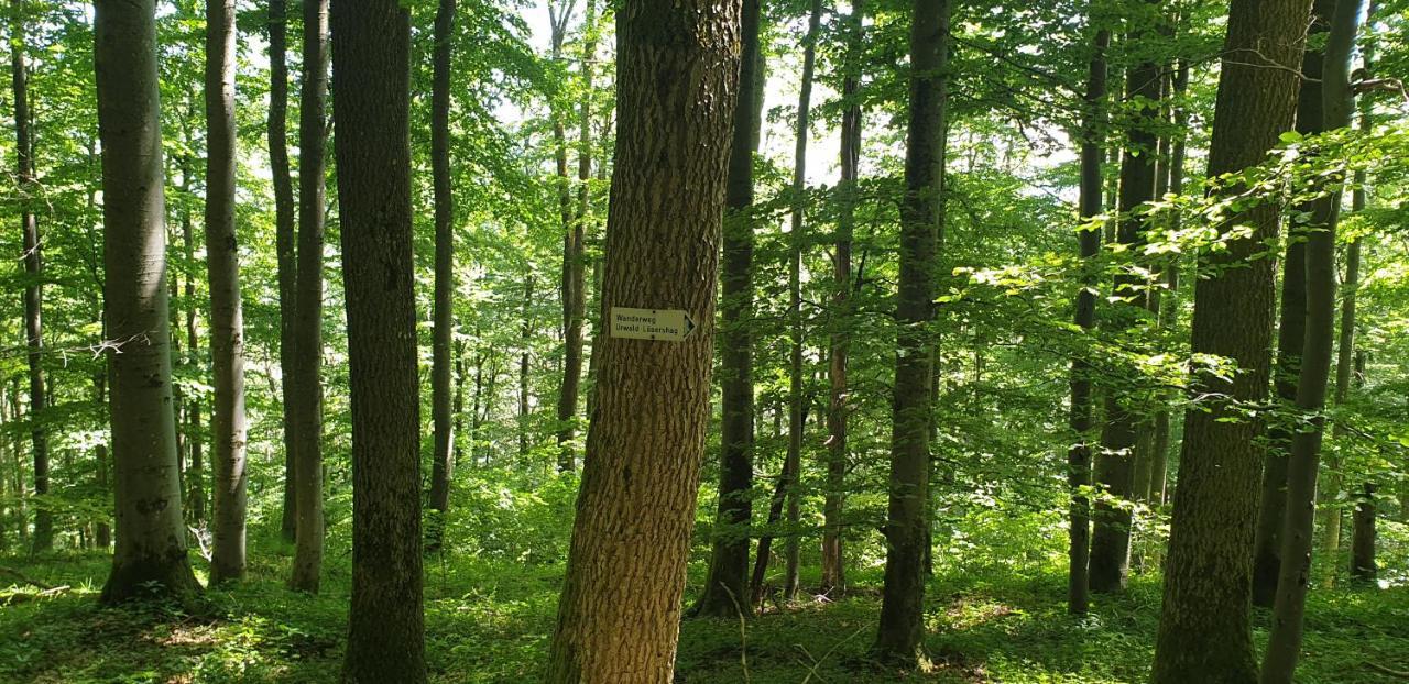 Apartament Kaline 2 Wildflecken Zewnętrze zdjęcie