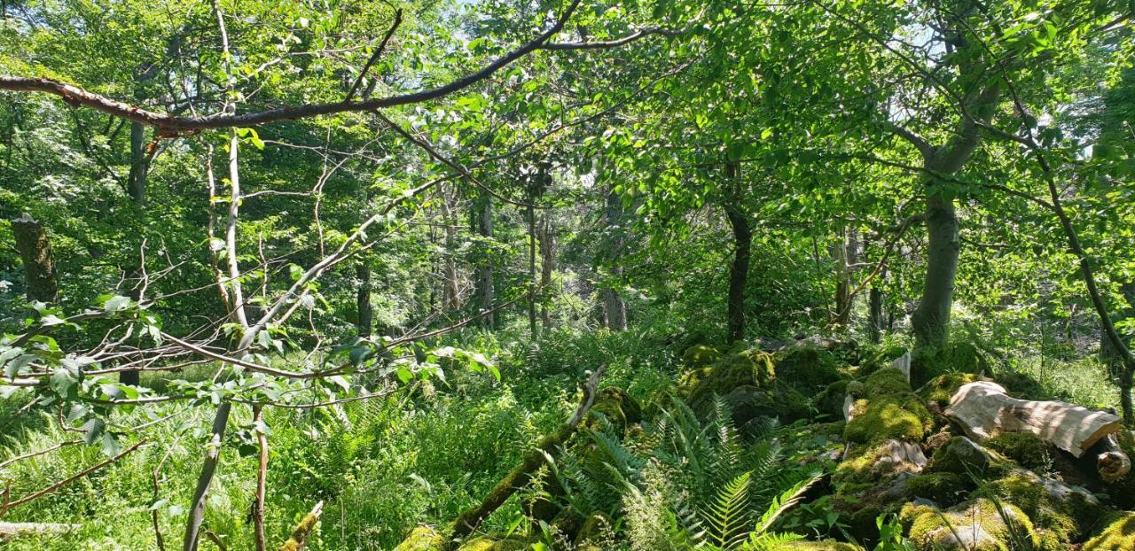 Apartament Kaline 2 Wildflecken Zewnętrze zdjęcie