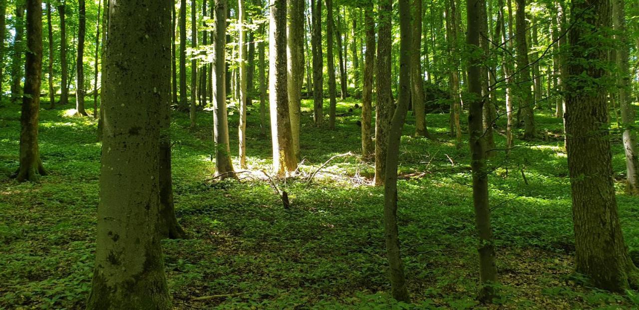 Apartament Kaline 2 Wildflecken Zewnętrze zdjęcie